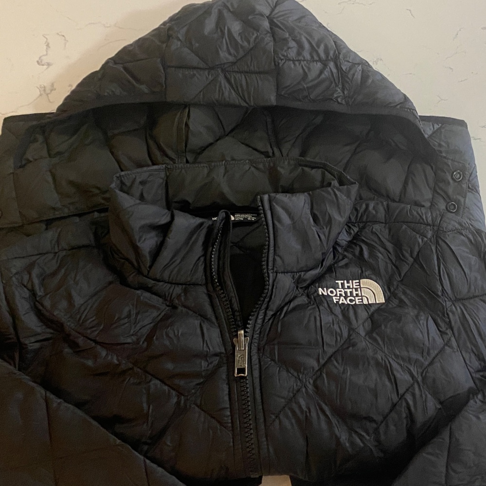 The North Face Black Hooded Puffer Jacket